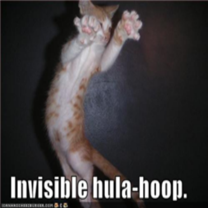 funny invisible hula-hoop cat Roblox decal