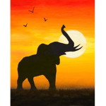 Elephant Fan group!