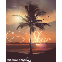 Star Hotels and Cafe | Application Centre