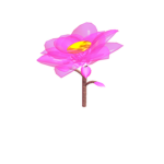 Flower clothes shop