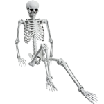 The skeleton council.