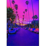 -Izzys Lavenders-