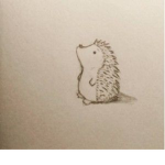Hedgehog Group [Hedgies]