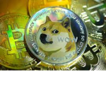doge coin clan