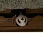 Slender vibe panda group