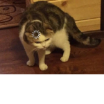 hola mainkra