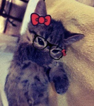 Silly's only