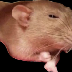 I like cheesesticks