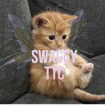 Swaggy ttc