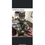 I will kill you karen