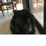 Luna Luna Luna Luna