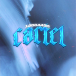 ﾐ Cartel