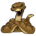 Orlando Pythons(College Football)
