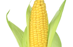 THE CORNLINGS ARMY