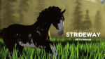 Strideway members