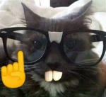 TRASH ROBLOX