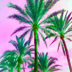 SummerVibe (Friends)