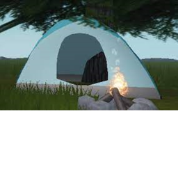new! camping