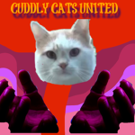 Cuddly cats united