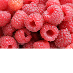 Raspberry Army
