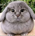 Mayski