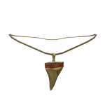 Ruby Shark Tooth Necklace