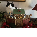 Themightykittenassult_Team