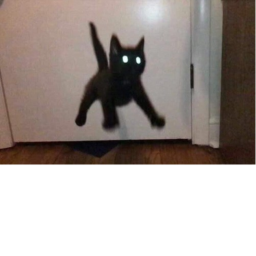 uh