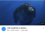 OOF+CAT