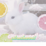 citrusbunni!