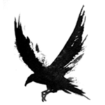 〔The Crow Empire〕