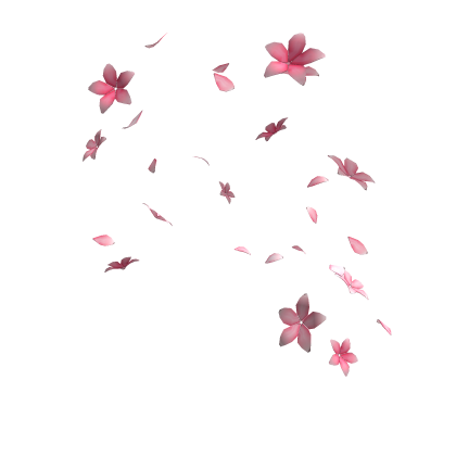 Falling Blossoms Roblox item