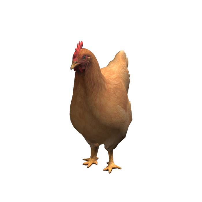 Orange Chicken
