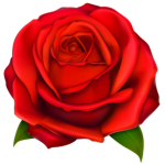 The Wild Rose Faction
