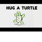 HUG A TURTLE