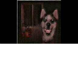 survive smile dog the killer