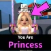 PRINCESS icon