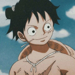 Fans one piece