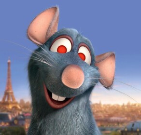 Survive the RAT
