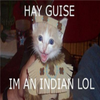 funny-cat Roblox decal