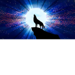Wolfy Plaz Fan Group !!