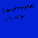 Team d_U_m_B_kid