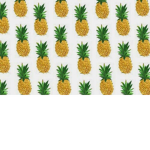 •Pinapple Troop•