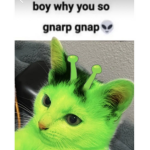 Why did I make this group forget u did this