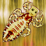 Bi-Bi Lice Clinic