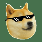 Doges Amry