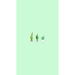 U💚🤍💚🤍