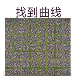 可可大挑戰