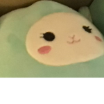 GachaPupsYT Fan Group :3