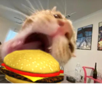 Can I have a chez burger pls?